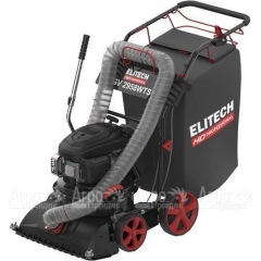 Пылесос садовый бензиновый Elitech HD GV 2958WTS (E1608.008.00) в Новороссийске