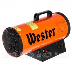 Газовая тепловая пушка Wester TG-20 в Новороссийске