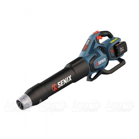 Воздуходувка аккумуляторная Senix BLAX2-M2-EU в Новороссийске