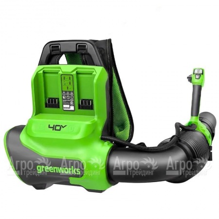 Воздуходувка аккумуляторная GreenWorks GD40BPG2  в Новороссийске