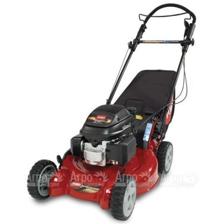Газонокосилка бензиновая Toro 20192 в Новороссийске