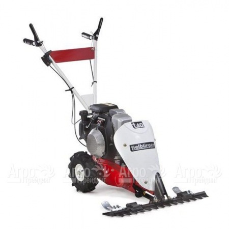 Бензиновая сенокосилка Tielburger T40 с двигателем Briggs&#38;Stratton в Новороссийске