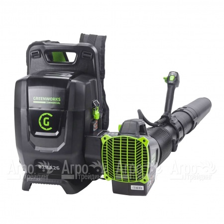 Воздуходувка аккумуляторная GreenWorks 2407207 (без батареи и зарядного устройства)  в Новороссийске