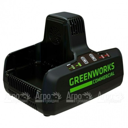 Быстрое зарядное устройство GreenWorks G82C2  в Новороссийске