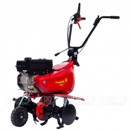 Культиватор Eurosystems Euro-5 EVO RM S/R Loncin TM60 в Новороссийске