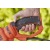 Электрический кусторез (электрокусторез) Black+Decker BEHTS551 в Новороссийске