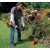 Бензокоса (бензиновый триммер) Stihl FS 55 C в Новороссийске