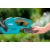 Аккумуляторный кусторез Gardena EasyCut 42 Accu в Новороссийске