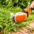 Аккумуляторные ножницы для кустарников Stihl HSA 26 (без аккумулятора и зарядного устройства) в Новороссийске