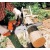 Бензопила Stihl MS 250-14" в Новороссийске