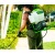 Аккумуляторный опрыскиватель GreenWorks GW-BPS60 (без аккумулятора и зарядного устройства) в Новороссийске