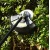 Аккумуляторный триммер DEKO DKTR40V PRO в Новороссийске