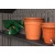 Пластиковый сарай LifeTime WoodLook 8х7.5 в Новороссийске