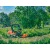 Садовый райдер Husqvarna P525DX с кабиной в Новороссийске