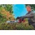 Аккумуляторный кусторез Einhell PXC GE-CH 36/62 Li-Solo (без аккумулятора и зарядного устройства) в Новороссийске