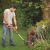 Аккумуляторный триммер Black+Decker ST1823 (2 аккумулятора) в Новороссийске