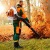 Воздуходувка бензиновая Stihl BR 700 в Новороссийске