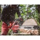 Бензопила Shindaiwa 501SX в Новороссийске
