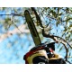 Бензопила Echo CS-280 TES 10&quot; в Новороссийске