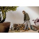 Хозяйственный пылесос Karcher WD 3 S V-19/4/20 SuctionBrushKit в Новороссийске