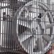 Компрессор поршневой Patriot Remeza СБ 4/С-100 LH 20 A в Новороссийске