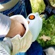 Бензокоса (бензиновый триммер) Stihl FS 45 C-E в Новороссийске