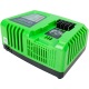 Быстрое зарядное устройство Greenworks G40UC5 в Новороссийске