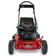 Газонокосилка бензиновая Toro 20092C в Новороссийске