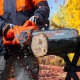 Пила цепная (электропила) Daewoo DACS 2500E-16 в Новороссийске
