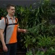 Аккумуляторный опрыскиватель Daewoo DSA 12Li SET в Новороссийске