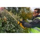 Аккумуляторный кусторез Dewalt DCM563PB (без аккумулятора и зарядного устройства) в Новороссийске