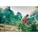Бензопила Husqvarna 455e Rancher-18&quot; в Новороссийске