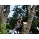 Бензопила Husqvarna 545 Mark II-15&quot; в Новороссийске